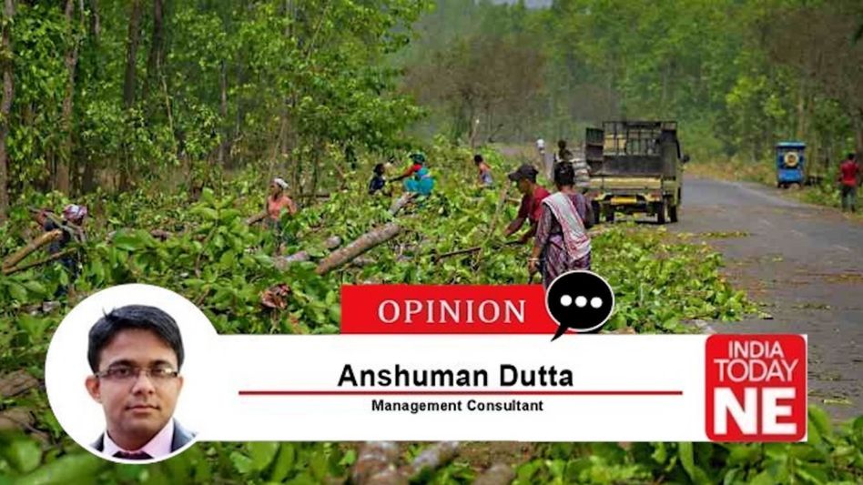 Reclaiming green: How Assam's fight against deforestation is turning the tide Reclaiming green: How Assam's fight against deforestation is turning the tide