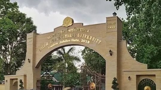 Assam Agriculture University’s high-yielding purple rice gets plant variety registered