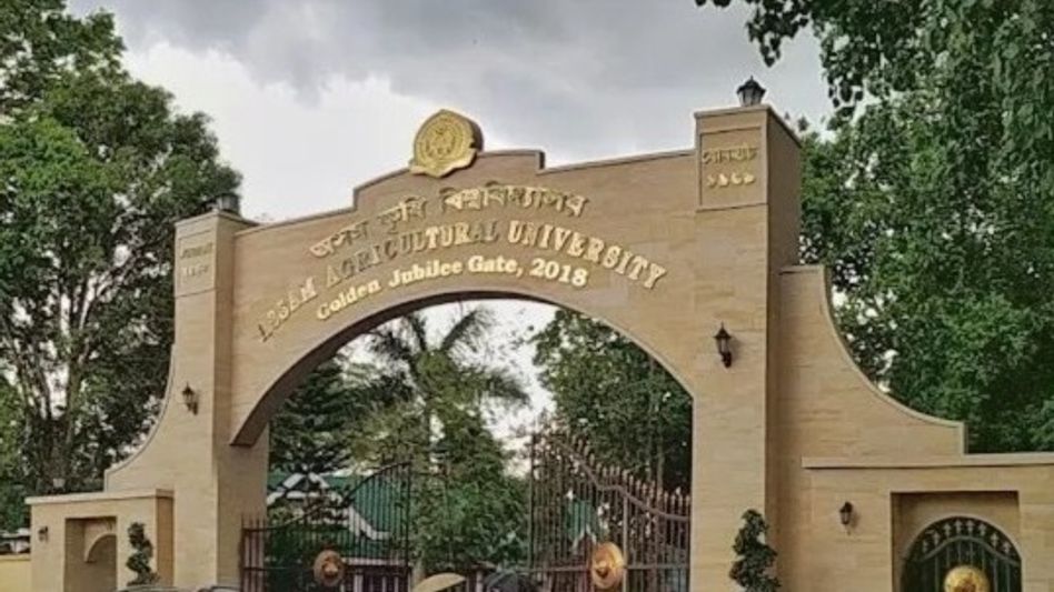 Assam Agriculture University’s high-yielding purple rice gets plant variety registered Assam Agriculture University’s high-yielding purple rice gets plant variety registered