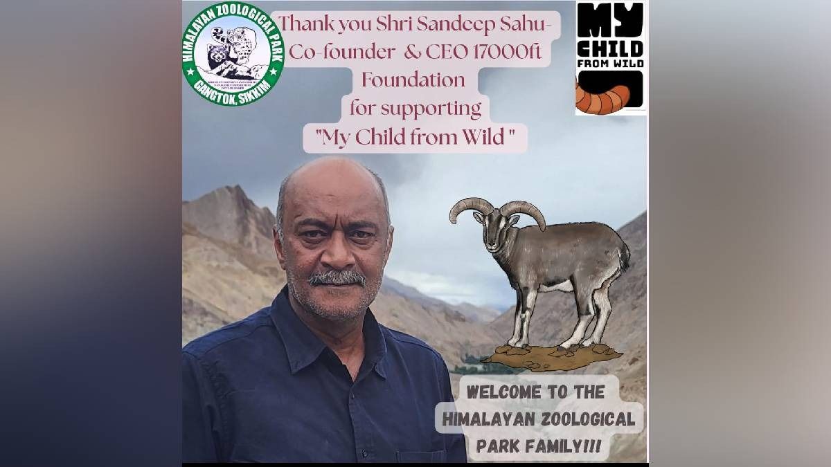 17000ft CEO strengthens Sikkim ties with Blue Sheep adoption at Himalayan Zoo