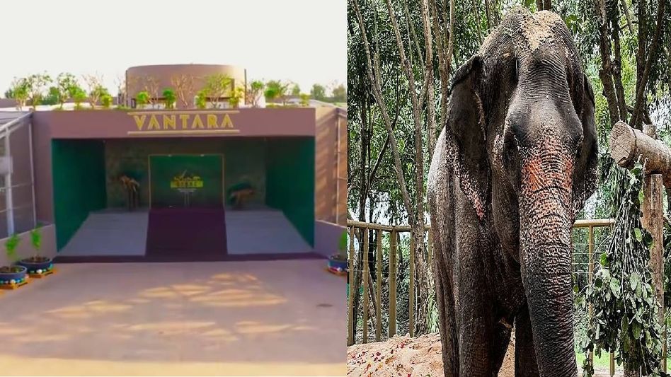 Vantara clarifies role in Madhuri's relocation, extends support for return to Kolhapur Vantara clarifies role in Madhuri's relocation, extends support for return to Kolhapur