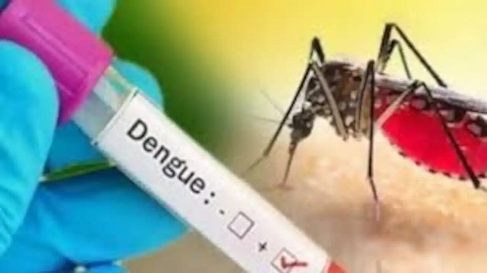 Arunachal’s Namsai reports dengue outbreak Arunachal’s Namsai reports dengue outbreak