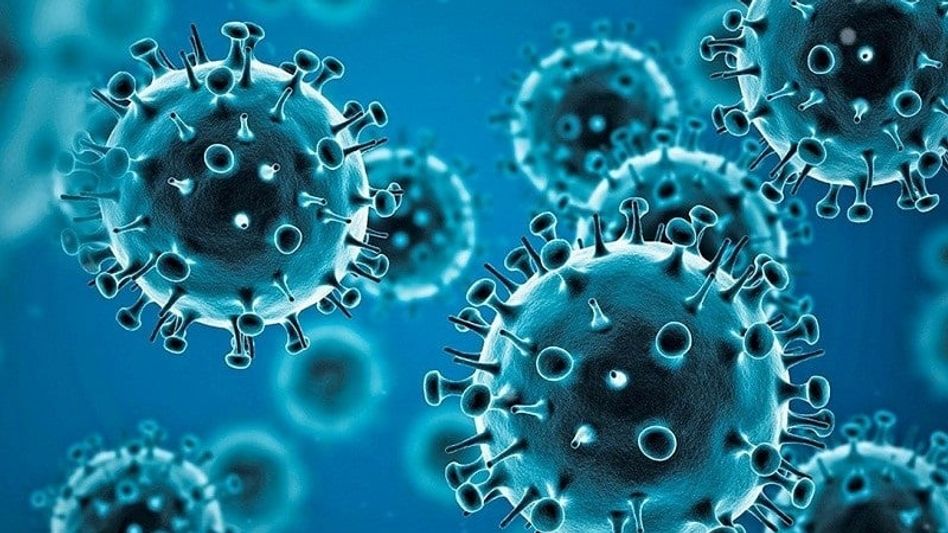 Mizoram reports 39 COVID-19 cases in 2025, 11 active infections under treatment Mizoram reports 39 COVID-19 cases in 2025, 11 active infections under treatment