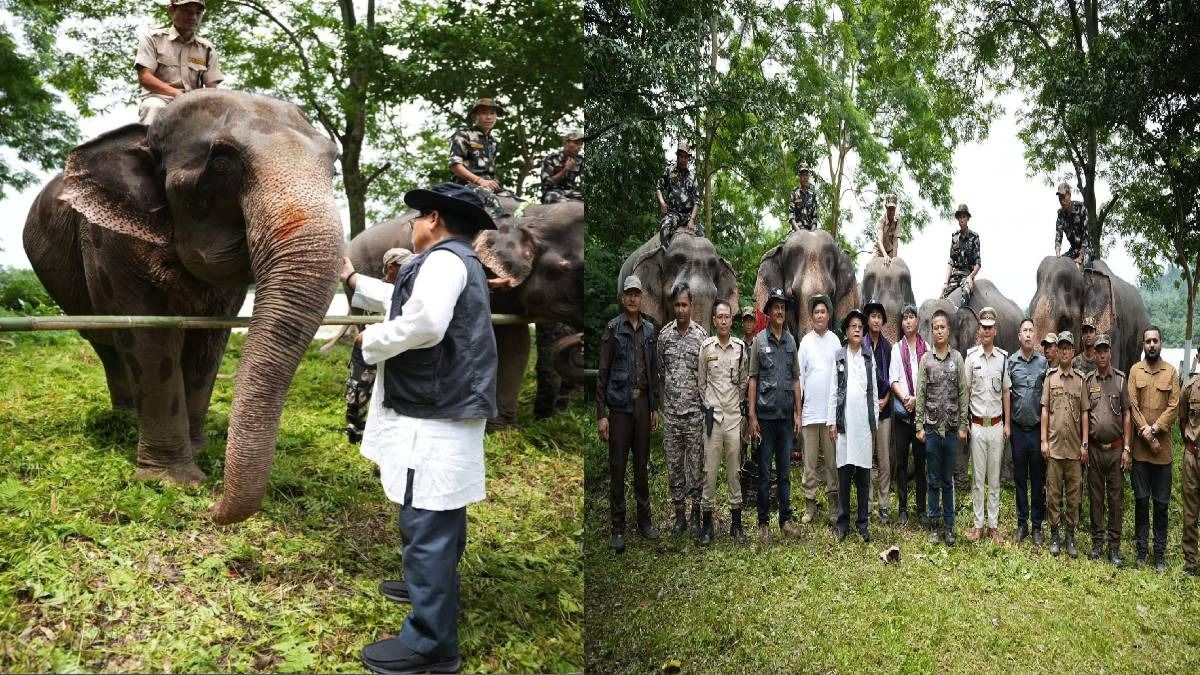 Arunachal forest minister reaffirms commitment to elephant conservation on World Elephant Day Arunachal forest minister reaffirms commitment to elephant conservation on World Elephant Day