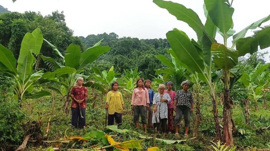Arunachal's women’s SHG turns banana farming into success story Arunachal's women’s SHG turns banana farming into success story