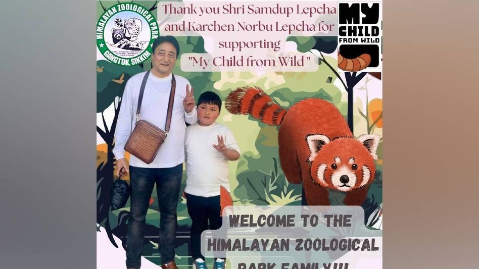 Sikkim minister champions wildlife conservation with Red Panda adoption for grandson Sikkim minister champions wildlife conservation with Red Panda adoption for grandson