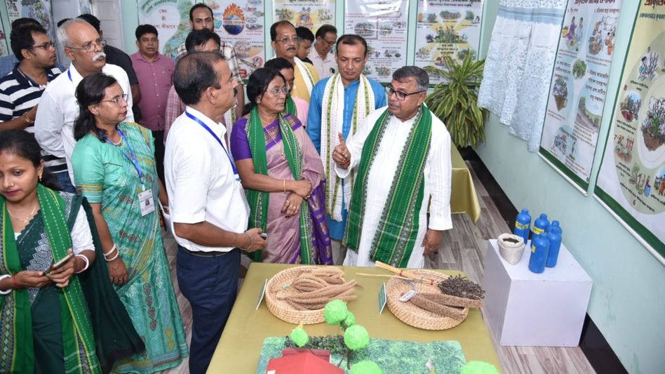 Centre authorises Tripura to certify paddy seeds for Manipur and Mizoram: Agriculture Minister Centre authorises Tripura to certify paddy seeds for Manipur and Mizoram: Agriculture Minister