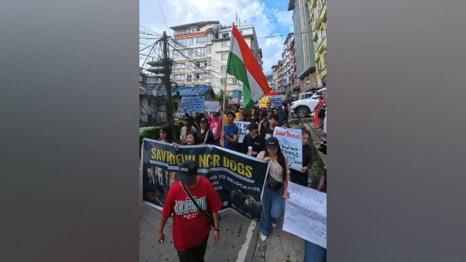 Sikkim citizens hold candle rally to advocate street dog welfare Sikkim citizens hold candle rally to advocate street dog welfare