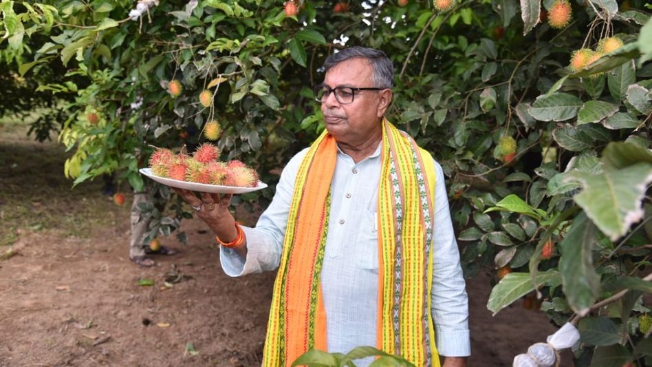 Tripura introduces exotic fruits to boost farmer income, expands potato seed production Tripura introduces exotic fruits to boost farmer income, expands potato seed production