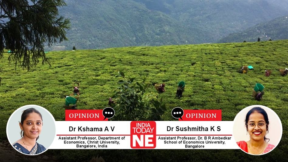 The organic illusion: What you see isn’t what farmers get The organic illusion: What you see isn’t what farmers get