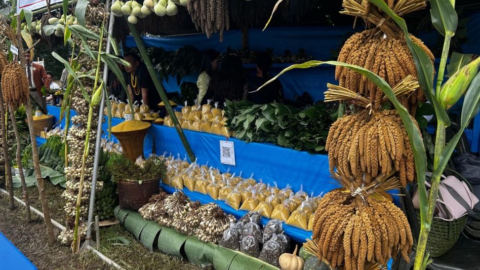 Nagaland’s Kezoma village hosts first millet festival to promote climate-resilient crop Nagaland’s Kezoma village hosts first millet festival to promote climate-resilient crop