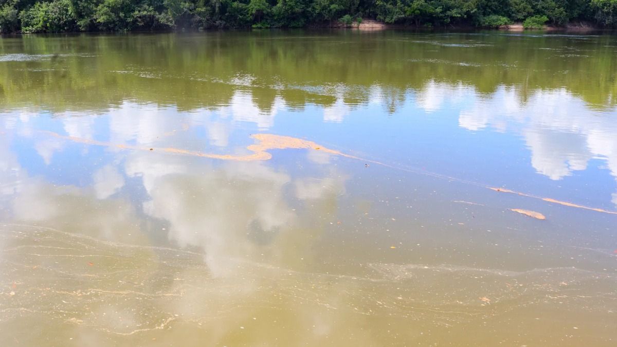 Manipur: Two rivers overflow in Imphal valley, agricultural land submerged Manipur: Two rivers overflow in Imphal valley, agricultural land submerged