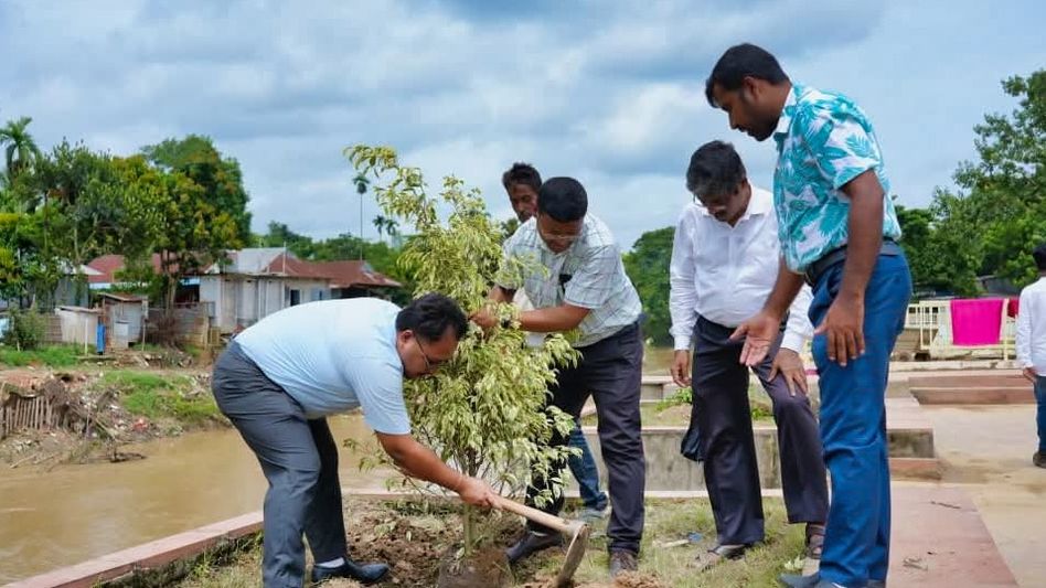 Agartala to launch major tree-planting drive along streets, riverfront Agartala to launch major tree-planting drive along streets, riverfront