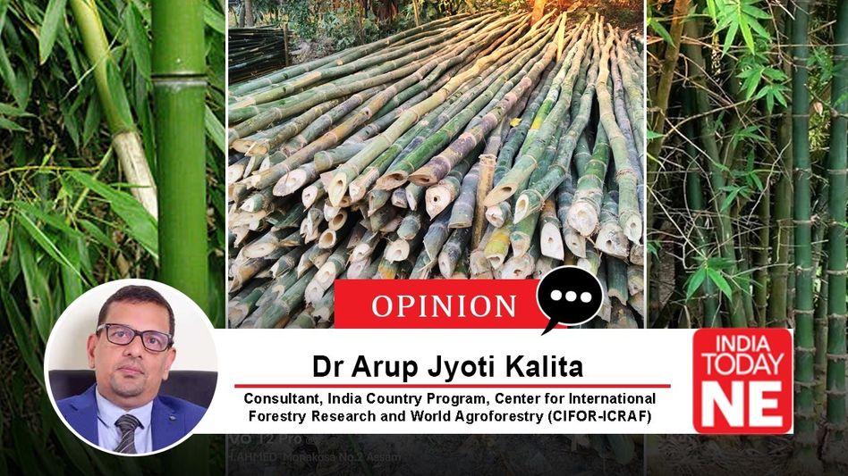 Bamboo Driven Agroforestry: Unlocking Assam’s Bioeconomy and Livelihoods Bamboo Driven Agroforestry: Unlocking Assam’s Bioeconomy and Livelihoods