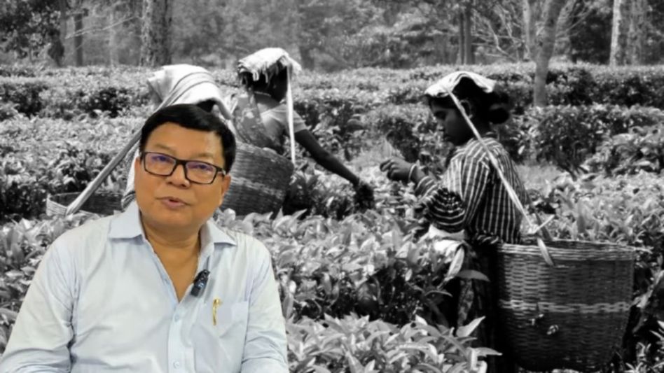 ‘Catastrophic decline’ in Assam tea: Opposition leader seeks Rs 5,000-crore bailout from PM ‘Catastrophic decline’ in Assam tea: Opposition leader seeks Rs 5,000-crore bailout from PM