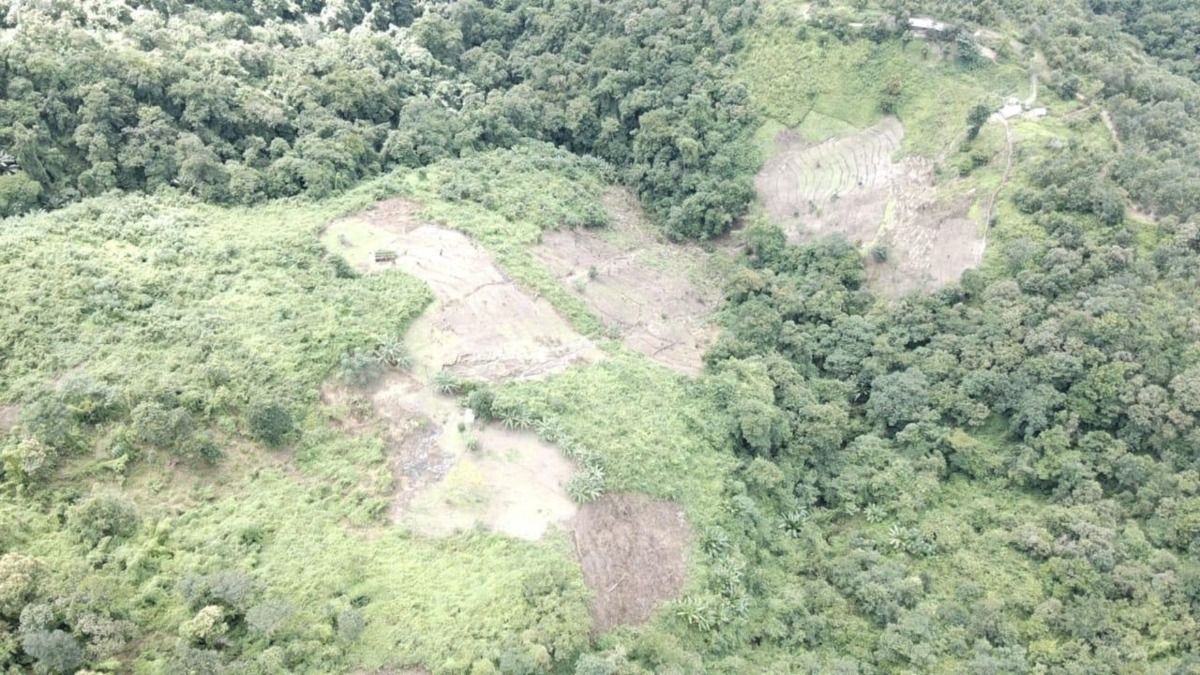 Drones expose 13 hectares of illegal poppy cultivation in Manipur forest
