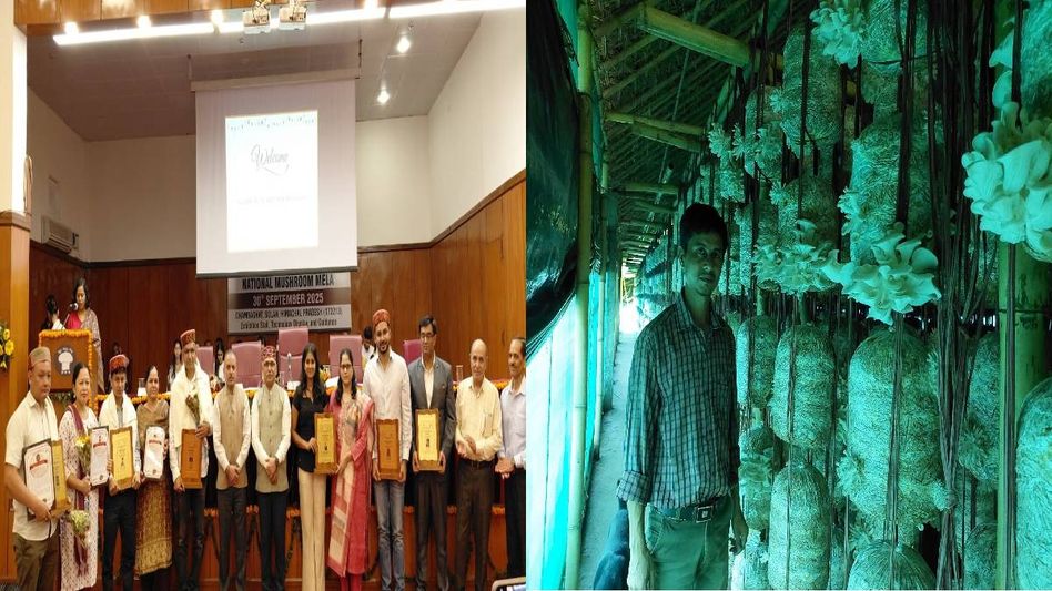 Assam mushroom farmer wins national recognition for progressive cultivation Assam mushroom farmer wins national recognition for progressive cultivation