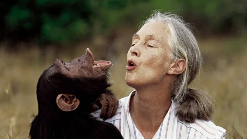 Global conservation icon and renowned primatologist Jane Goodall passes away at 91 Global conservation icon and renowned primatologist Jane Goodall passes away at 91