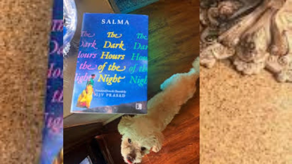 “The Dark Hours of the Night”: A Powerful Translation Illuminating Women’s Lives and Spaces in Patriarchal Society “The Dark Hours of the Night”: A Powerful Translation Illuminating Women’s Lives and Spaces in Patriarchal Society