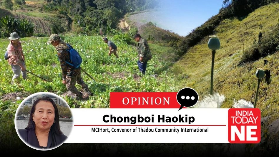 Manipur’s Opium Crisis at Breaking Point Manipur’s Opium Crisis at Breaking Point