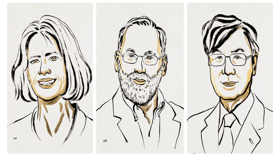 US and Japanese scientists win 2025 Nobel Prize for immune tolerance research US and Japanese scientists win 2025 Nobel Prize for immune tolerance research