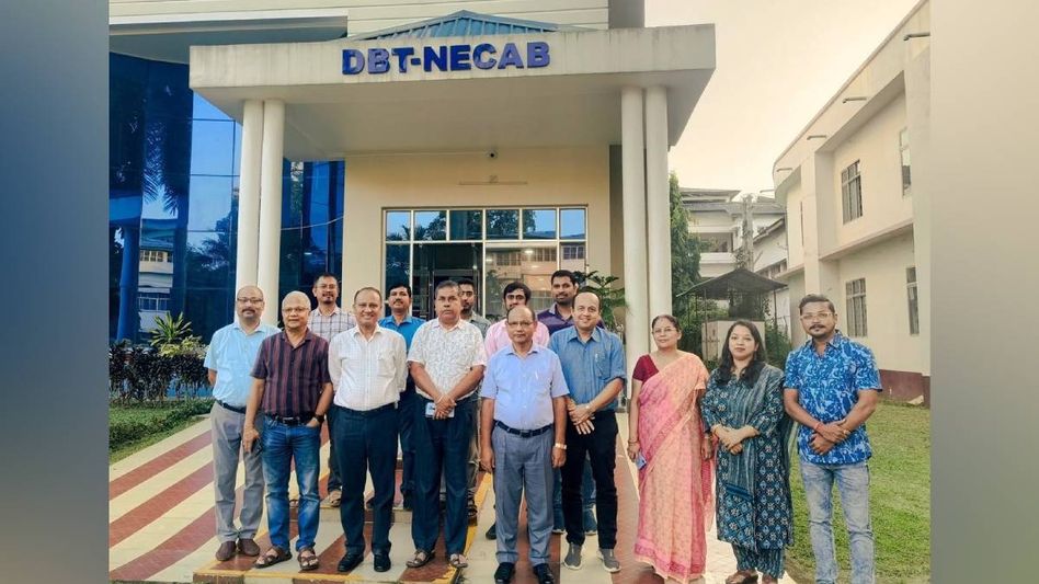 Manipur police destroy massive cache of narcotics in Imphal West Manipur police destroy massive cache of narcotics in Imphal West