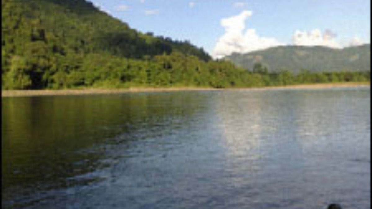 Public hearing for 1,000 MW Naying Hydro Project in Arunachal to be held on Nov 12 Public hearing for 1,000 MW Naying Hydro Project in Arunachal to be held on Nov 12