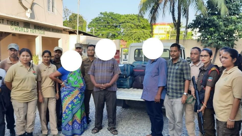 Manipur police destroy massive cache of narcotics in Imphal West Manipur police destroy massive cache of narcotics in Imphal West