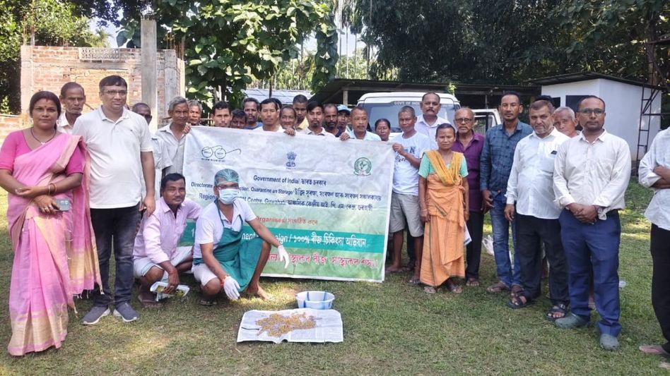 ‘Healthy Seeds – Healthy Crops’ campaign launched in Boko to empower farmers ‘Healthy Seeds – Healthy Crops’ campaign launched in Boko to empower farmers