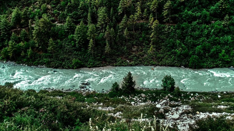 India rises to ninth position globally in total forest area India rises to ninth position globally in total forest area