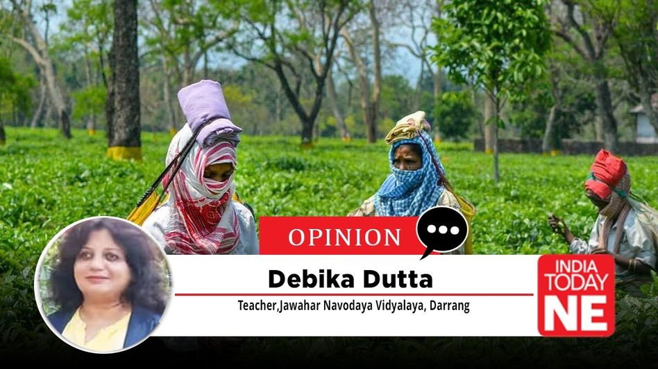 From Fields to Freedom: Assam’s Tea Workers Claim Their Land From Fields to Freedom: Assam’s Tea Workers Claim Their Land