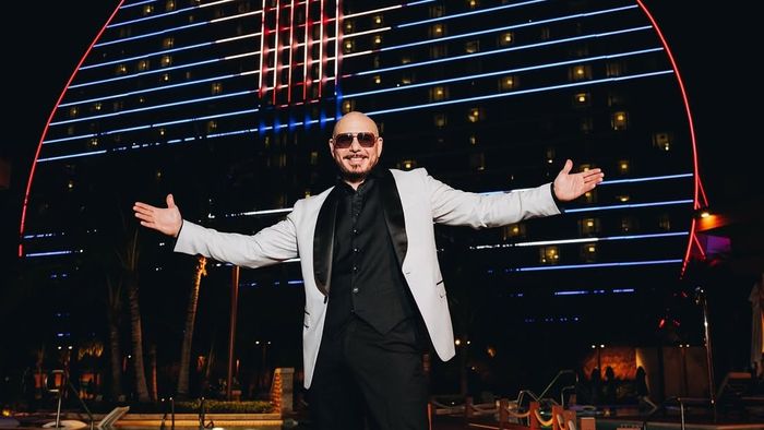 Pitbull to perform in India again