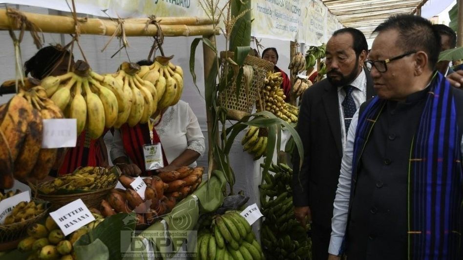 First edition of Wokha Banana Festival 2025 concludes with community fervor and institutional partnerships First edition of Wokha Banana Festival 2025 concludes with community fervor and institutional partnerships