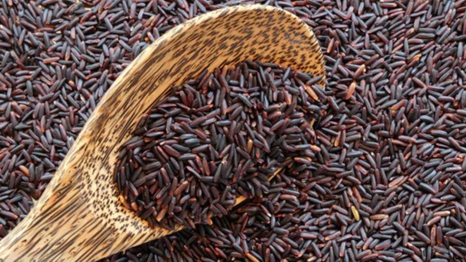 Manipur to export Chakhao rice to Japan Manipur to export Chakhao rice to Japan
