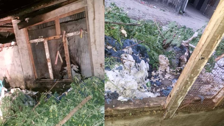 Arunachal: Electrical fault triggers massive blaze in Ruying Colony, no casualties reported Arunachal: Electrical fault triggers massive blaze in Ruying Colony, no casualties reported