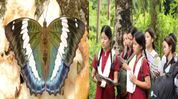 2nd Wakro Butterfly Meet highlights Eastern Himalayan biodiversity, over 230 butterfly species recorded 2nd Wakro Butterfly Meet highlights Eastern Himalayan biodiversity, over 230 butterfly species recorded