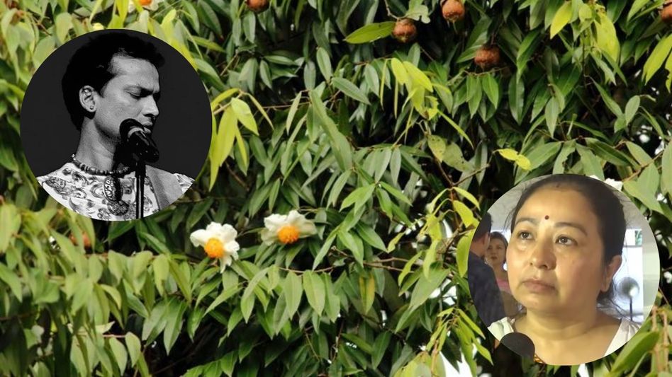 ‘Let a forest of 'Nahor' trees bloom from Sonapur to Jagiroad’: Garima Saikia Garg ‘Let a forest of 'Nahor' trees bloom from Sonapur to Jagiroad’: Garima Saikia Garg