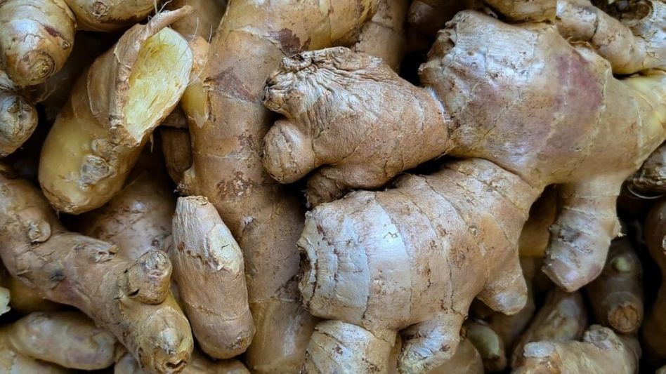 Mizoram releases Rs 118 crore as support price for ginger farmers Mizoram releases Rs 118 crore as support price for ginger farmers