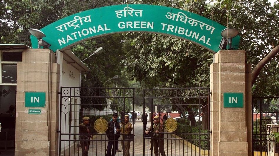 NGT fines Meghalaya Rs 10,000 for failing to respond on forest encroachment case NGT fines Meghalaya Rs 10,000 for failing to respond on forest encroachment case