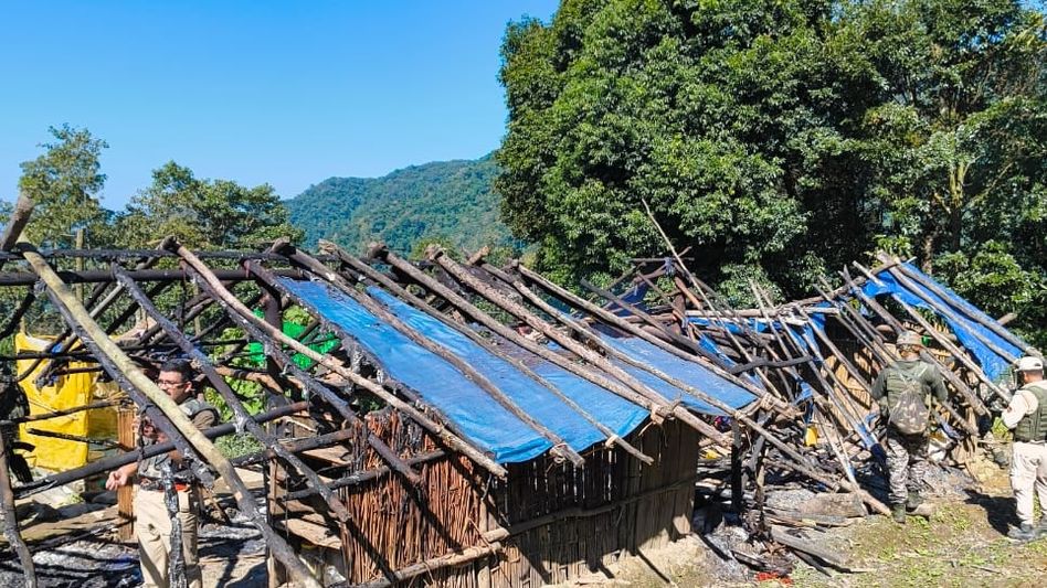 Manipur police destroy 35 acres of illegal poppy fields in sustained anti-drug drive Manipur police destroy 35 acres of illegal poppy fields in sustained anti-drug drive