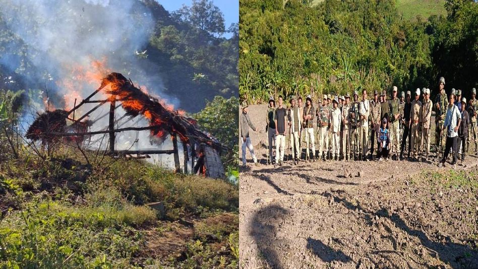 Manipur: Security forces destroy 35 acres of poppy plantations in Ukhrul Manipur: Security forces destroy 35 acres of poppy plantations in Ukhrul