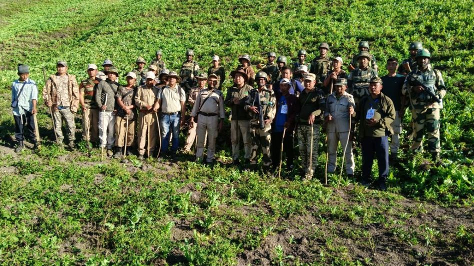 Manipur: Security forces destroy over 200 acres of poppy cultivation in three-days Manipur: Security forces destroy over 200 acres of poppy cultivation in three-days