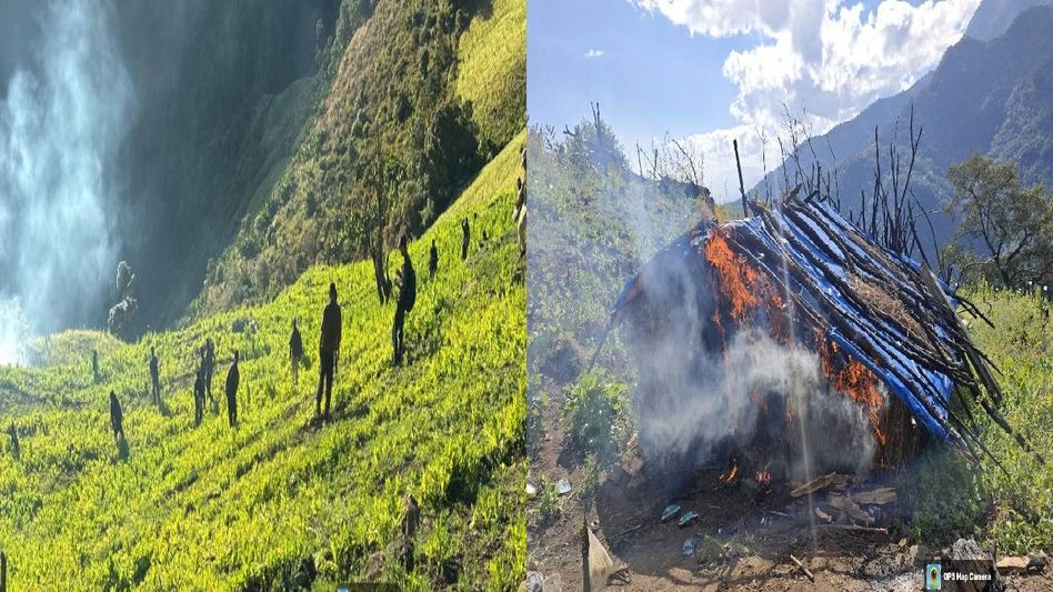 Manipur: 53 acres of illegal poppy destroyed in major operation in Kangpokpi Reserve Forest Manipur: 53 acres of illegal poppy destroyed in major operation in Kangpokpi Reserve Forest