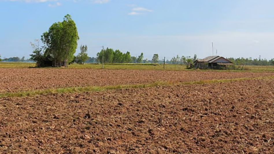 Assam govt proposes district land tribunals to protect tribal belt lands Assam govt proposes district land tribunals to protect tribal belt lands