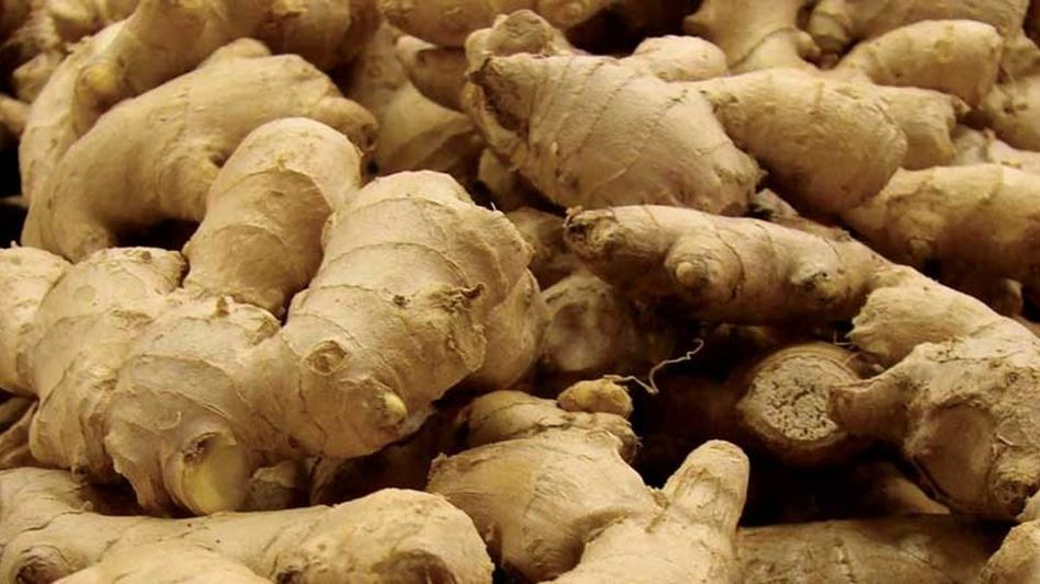 Mizoram recommended as 'Ginger Capital of India' by NITI Aayog Mizoram recommended as 'Ginger Capital of India' by NITI Aayog