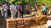 Tripura Police seize 547 kg of suspected cannabis in major Dhalai district operation Tripura Police seize 547 kg of suspected cannabis in major Dhalai district operation