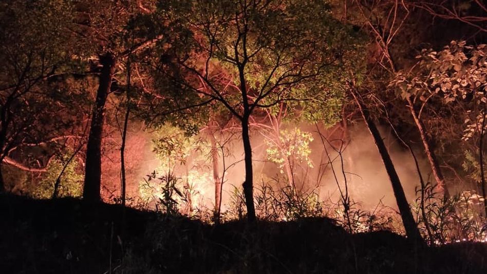 Meghalaya's East Khasi Hills bans forest burning amid rising wildfire threat Meghalaya's East Khasi Hills bans forest burning amid rising wildfire threat