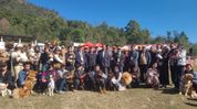 Nagaland: Hornbill festival's dog show debuts with focus on responsible pet ownership Nagaland: Hornbill festival's dog show debuts with focus on responsible pet ownership