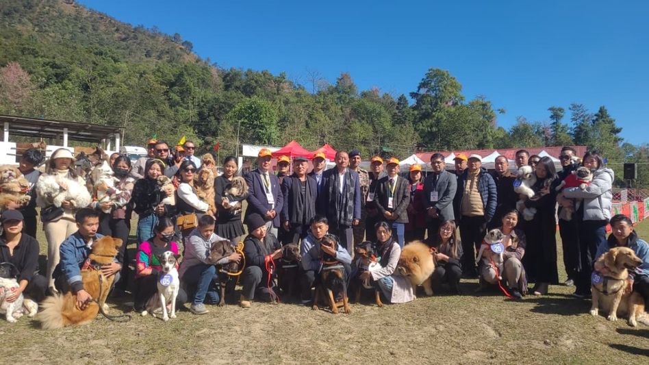 Nagaland: Hornbill festival's dog show debuts with focus on responsible pet ownership Nagaland: Hornbill festival's dog show debuts with focus on responsible pet ownership