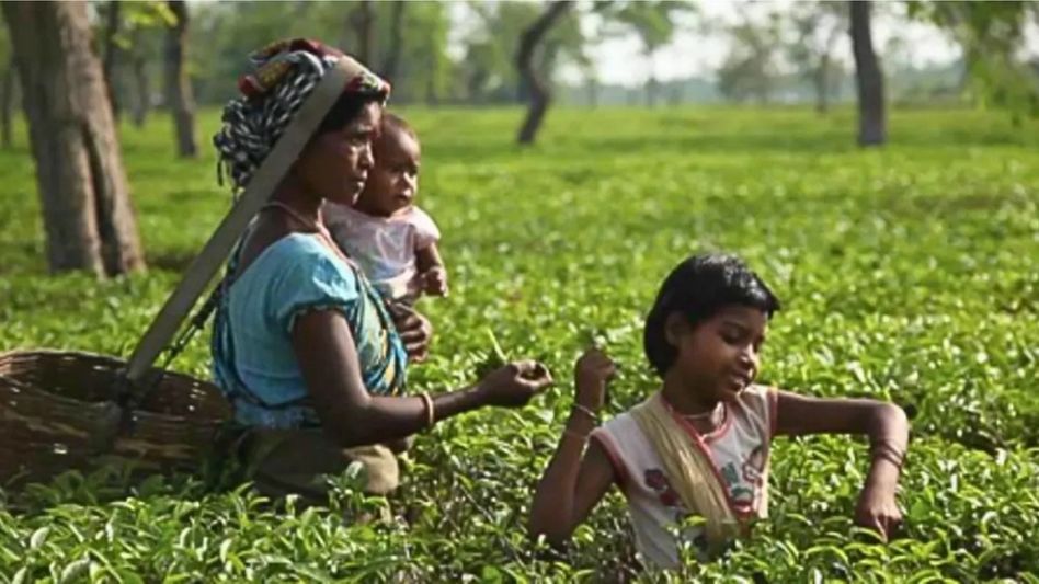 Assam relaxes two-child policy for ST, SC, Tea Garden, Moran and Matak communities Assam relaxes two-child policy for ST, SC, Tea Garden, Moran and Matak communities